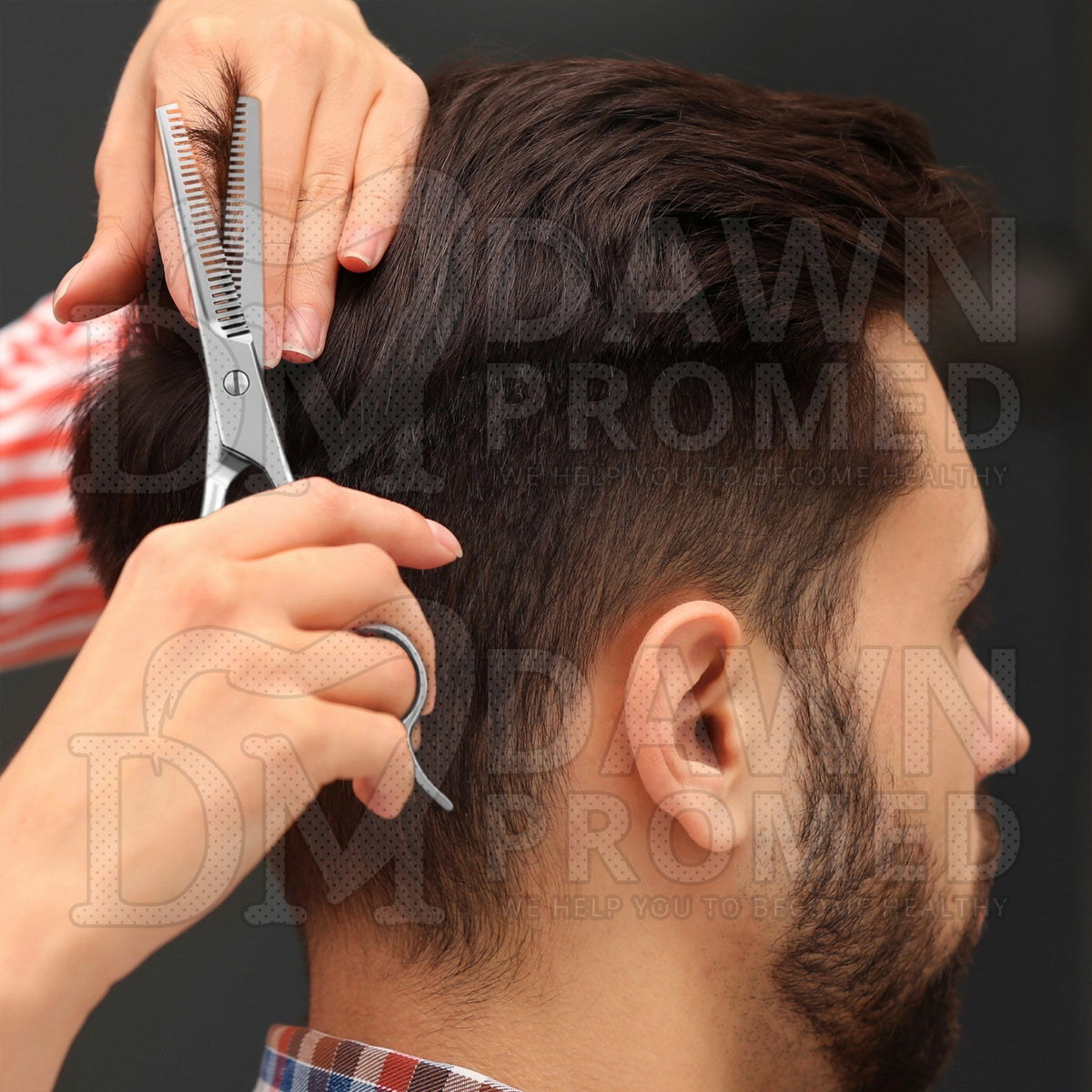 Pet Grooming Thinning & Hair Cutting Scissors Set - Stainless Steel