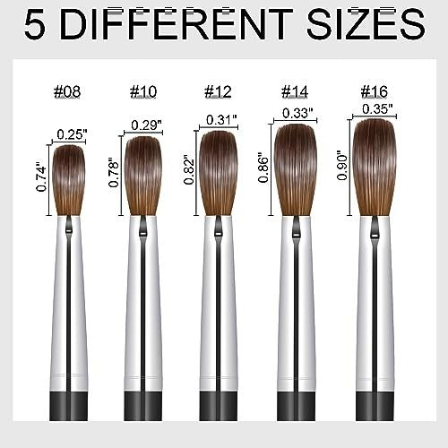 Acrylic Nail Brush Oval Sculpting Brush Size 16 with Kolinsky Hair & Acrylic Handle