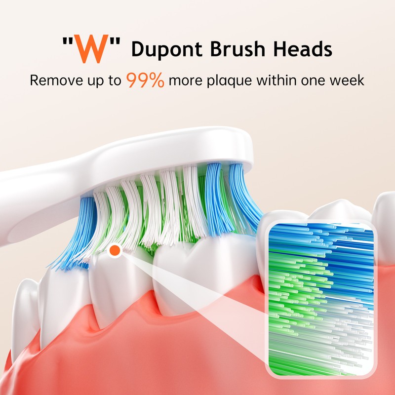 Electric Toothbrush with 5 Modes & 6 Brush Heads, Rechargeable Waterproof