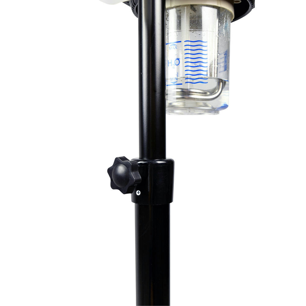 Professional Salon Hair Steamer with Rolling Stand and Adjustable Hood