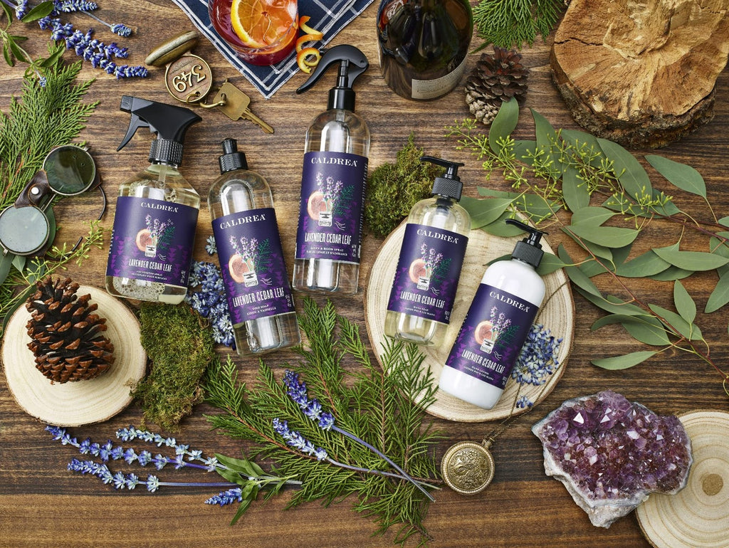 Natural Hand Wash Soap with Aloe Vera & Olive Oil - Calming Essential Oils