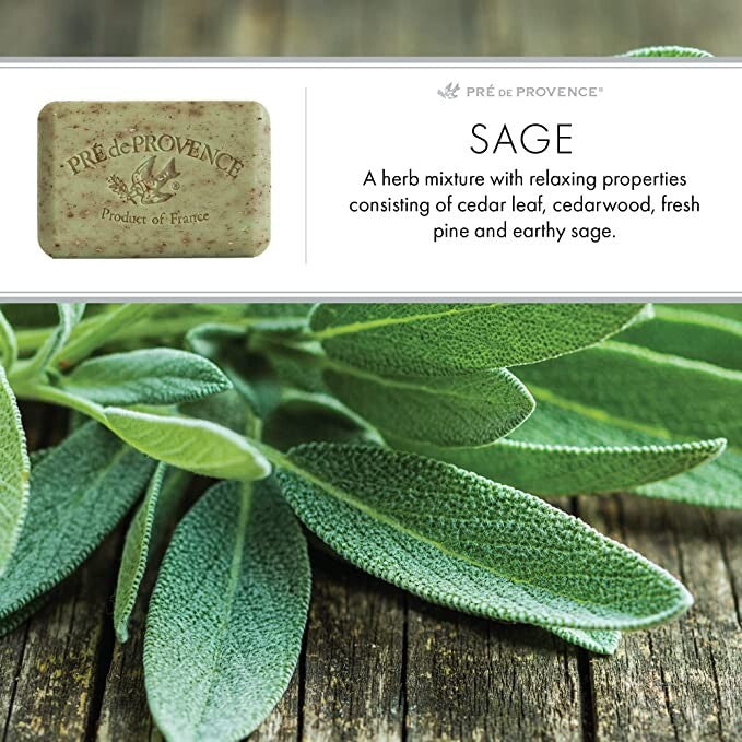 French-Milled Sage & Shea Enriched Soap Bars - 2 Pack, 250g