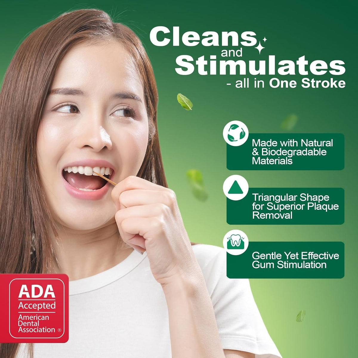 Plaque Removers Mint Flavor 200 Picks - Dental Floss Picks for Oral Hygiene