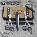 Professional Hair Cutting & Thinning Scissors Set with Razor and Pouch