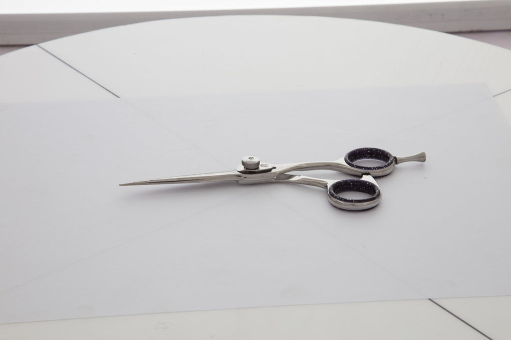 Professional 5.5 Inch Japanese Stainless Steel Hair Cutting Scissors with Convex Edge