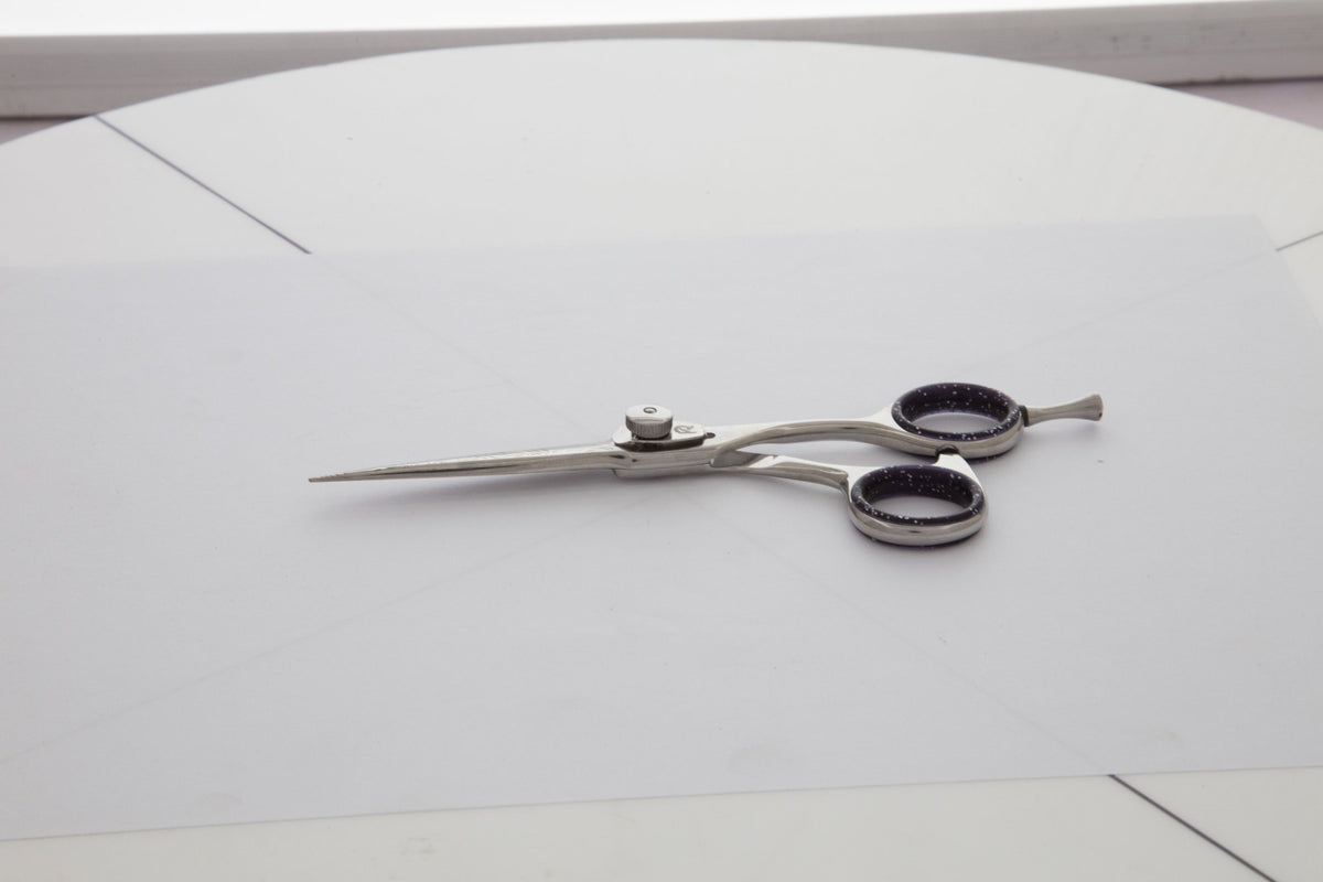 Professional 5.5 Inch Japanese Stainless Steel Hair Cutting Scissors with Convex Edge