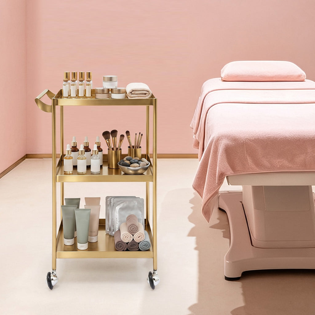 Stainless Steel 3-Shelf Utility Cart with Handle for Salons and Home