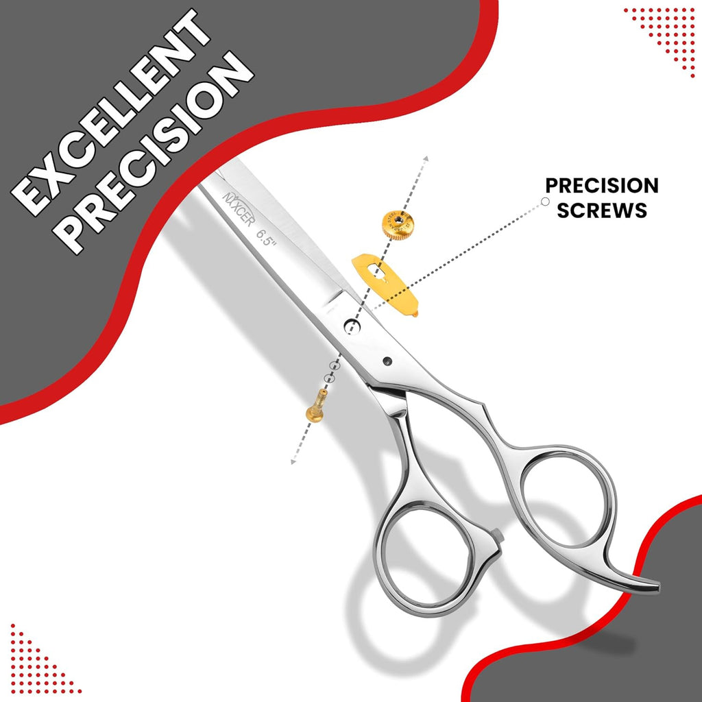 Professional Hair Cutting Scissors - 6.5 Inch Hairdressing Shears, Silver
