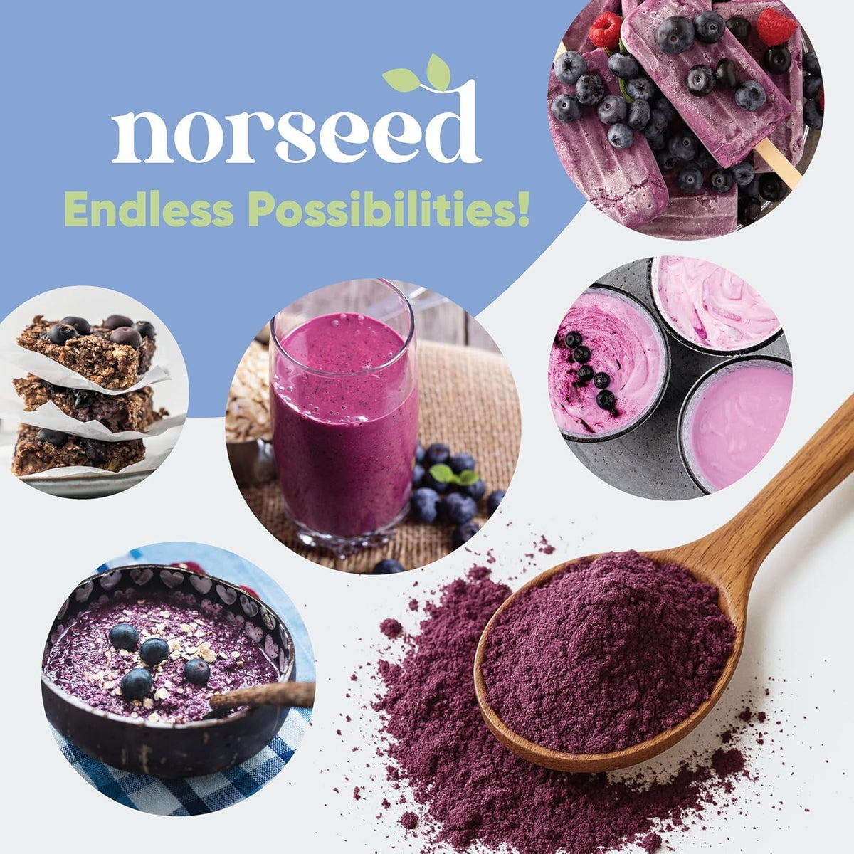 Organic Wild Blueberry Powder 5oz - Antioxidant Superfood for Smoothies & Baking