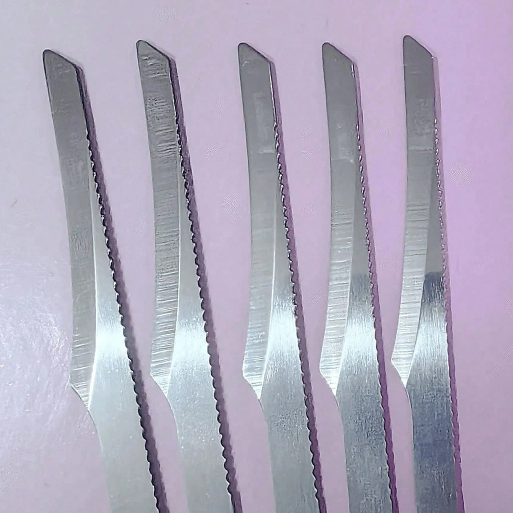 Stainless Steel Foot Scraper Dead Skin & Callus Remover Pedicure Tool