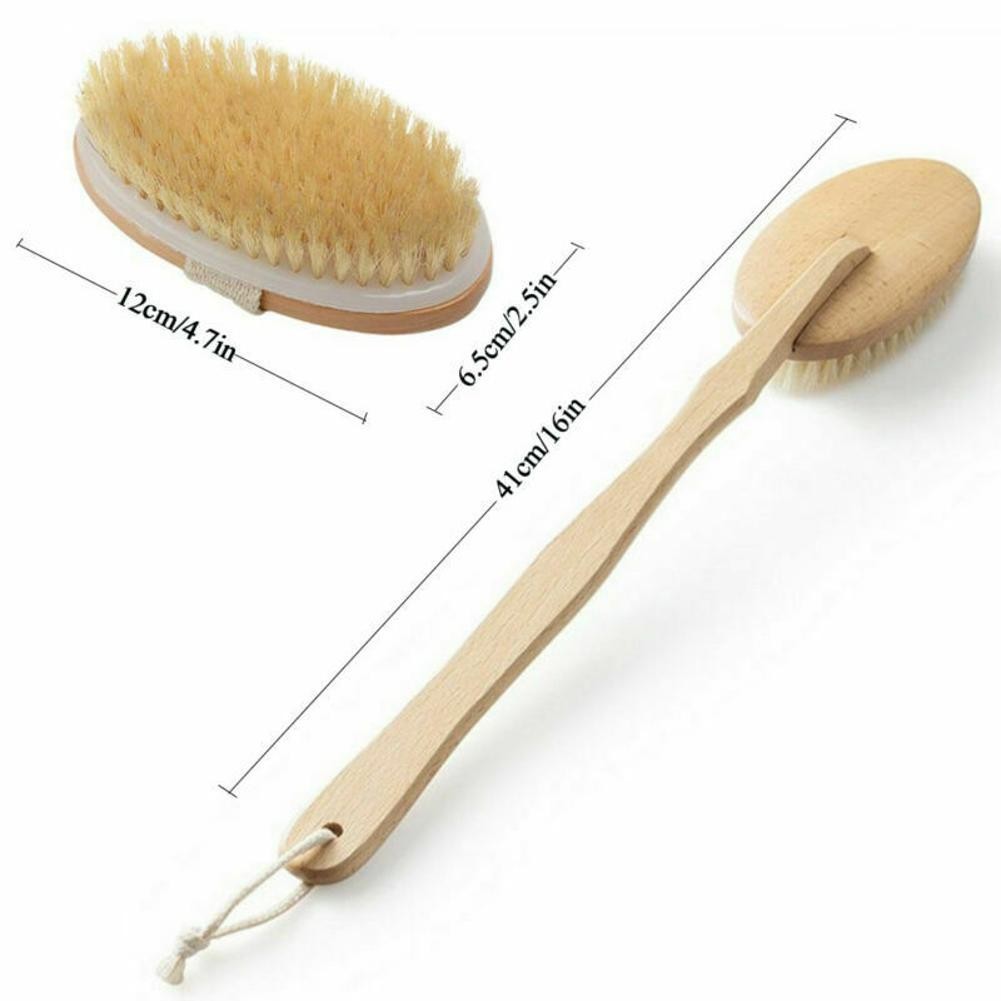 Natural Bristle Body Brush with Long Handle for Back Scrubbing - Eco-Friendly Spa Shower Tool