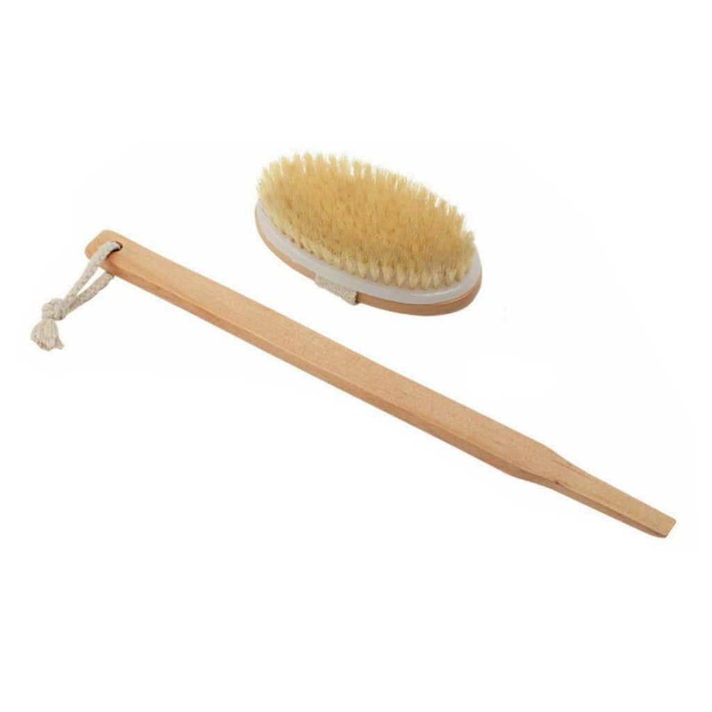 Natural Bristle Body Brush with Long Handle for Back Scrubbing - Eco-Friendly Spa Shower Tool