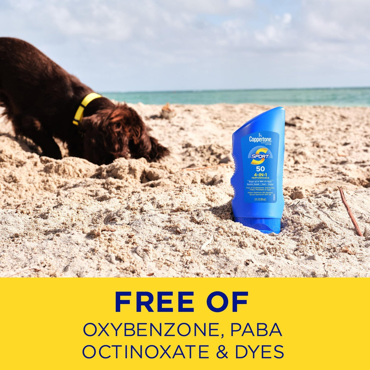 SPF 50 Water-Resistant Sunscreen Lotion Multipack - 6 x 3 fl oz