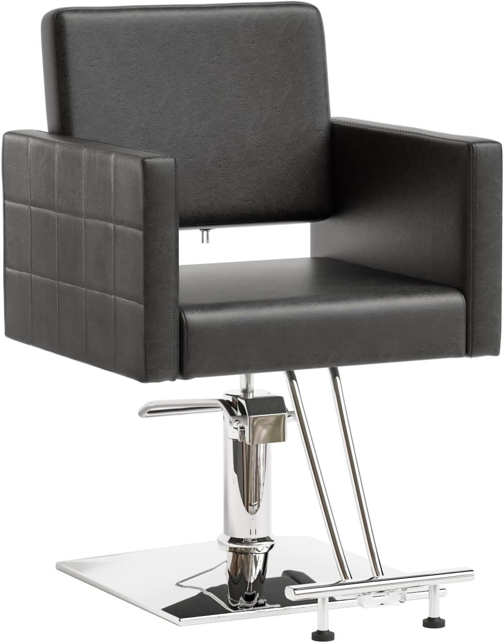 Hydraulic Barber Chair Salon Chair with Footrest, Swivel, Black