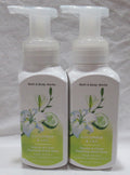 Foaming Hand Soap Set of 2 - Gentle & Clean Cucumber & Lily Scent