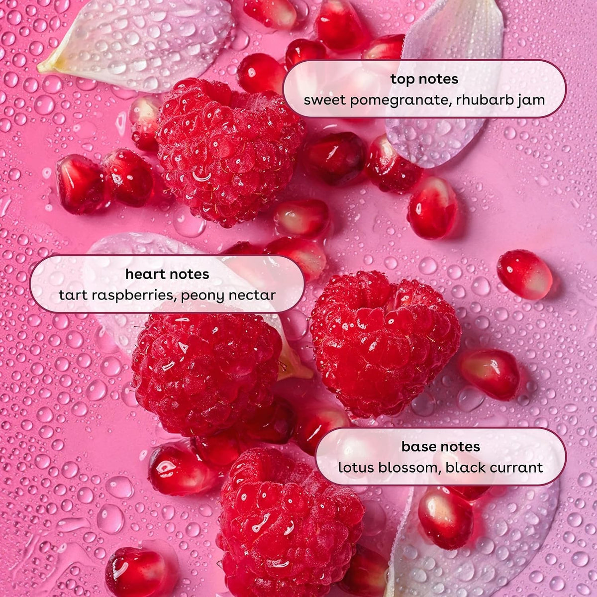 Moisturizing Pomegranate Raspberry Body Wash 16oz - Gentle, Fragrance
