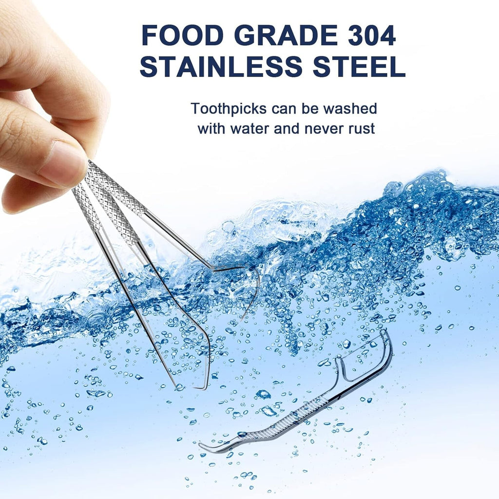Reusable Stainless Steel Toothpicks Set Portable Teeth Cleaning Kit