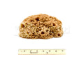 Natural Sea Sponge for Painting, Absorption & Crafting 6-7in