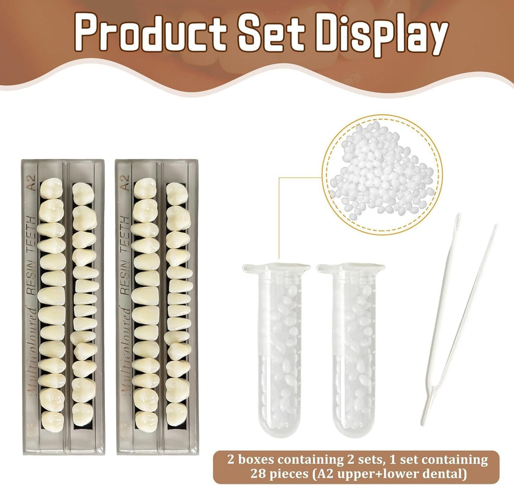 Dental Training Model Set with 56 Acrylic Resin False Teeth for Teaching and Demo