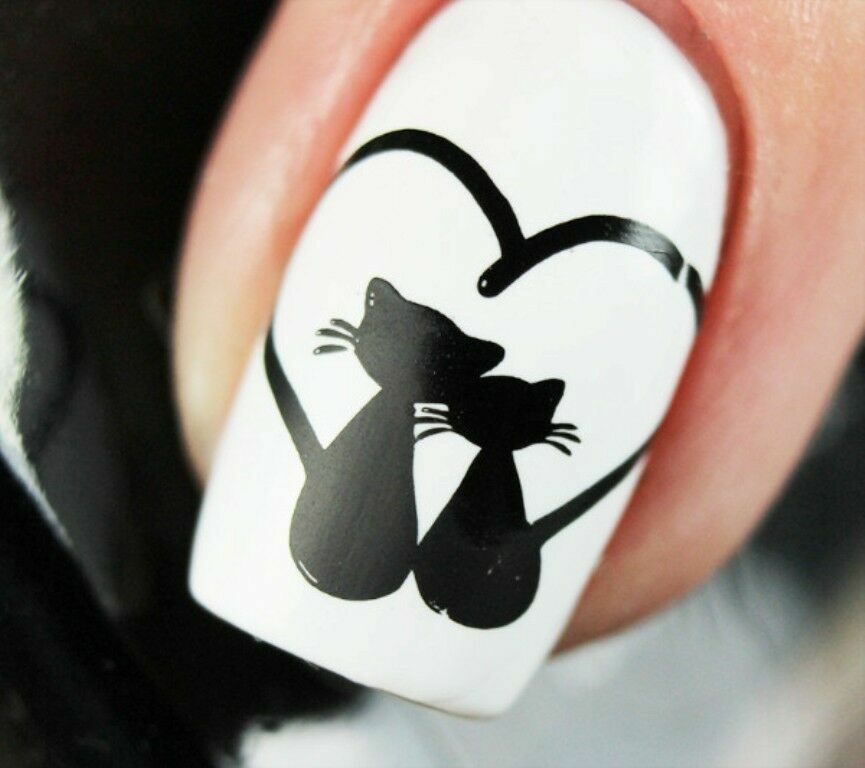 Nail Art Cat Paw Stamp Plate for Manicure - Metal Image Template BP-X11