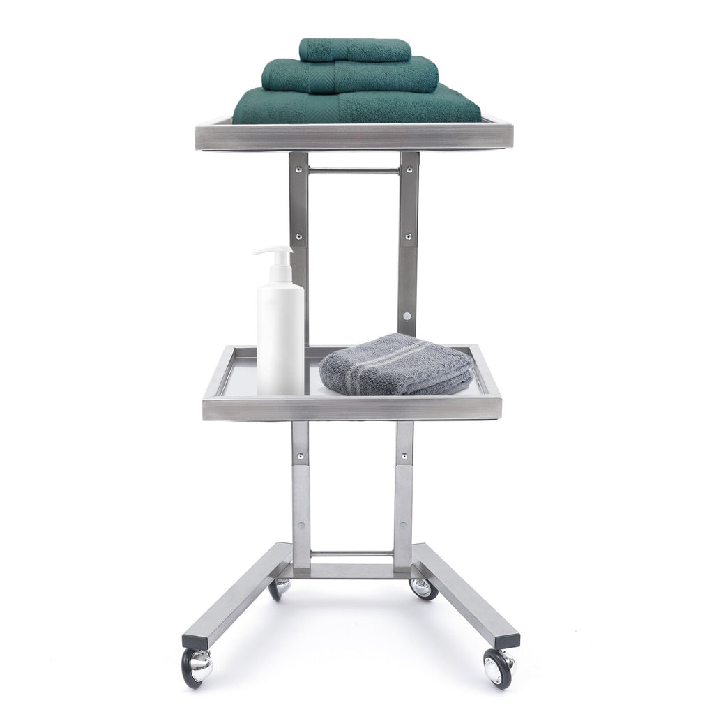 Stainless Steel 2-Tier Trolley Cart for Salons & Medical Use