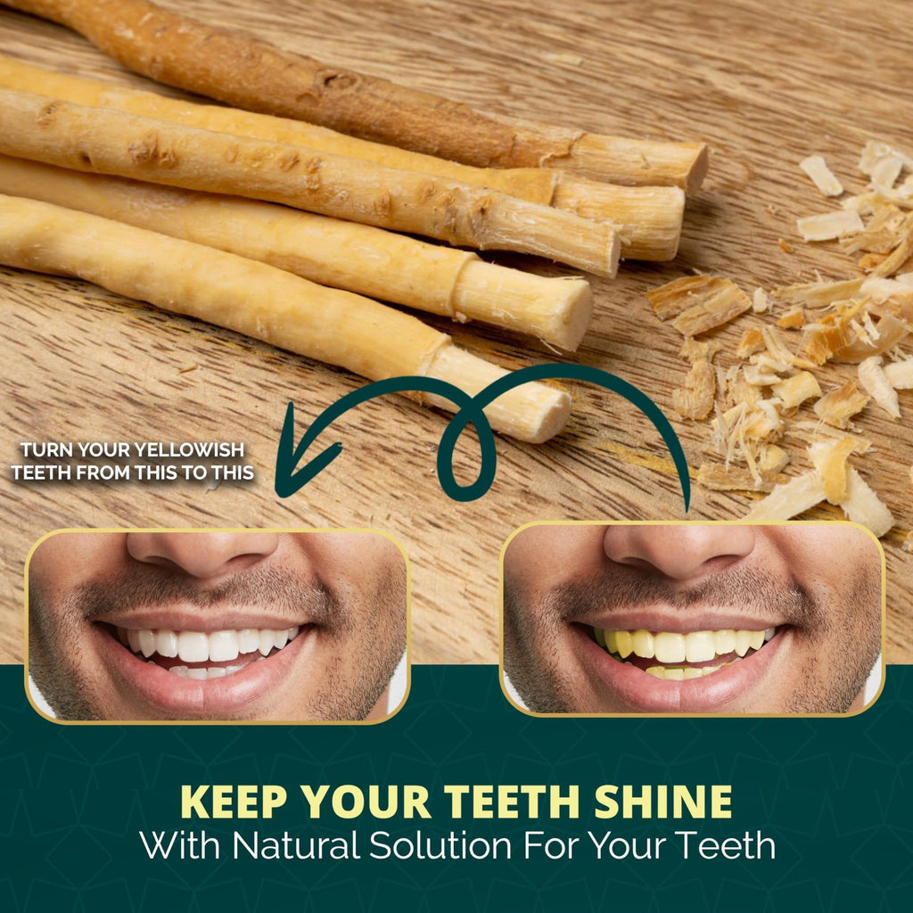 Natural Miswak Tooth Sticks with Holder - Organic Oral Care Set, Pack of 12