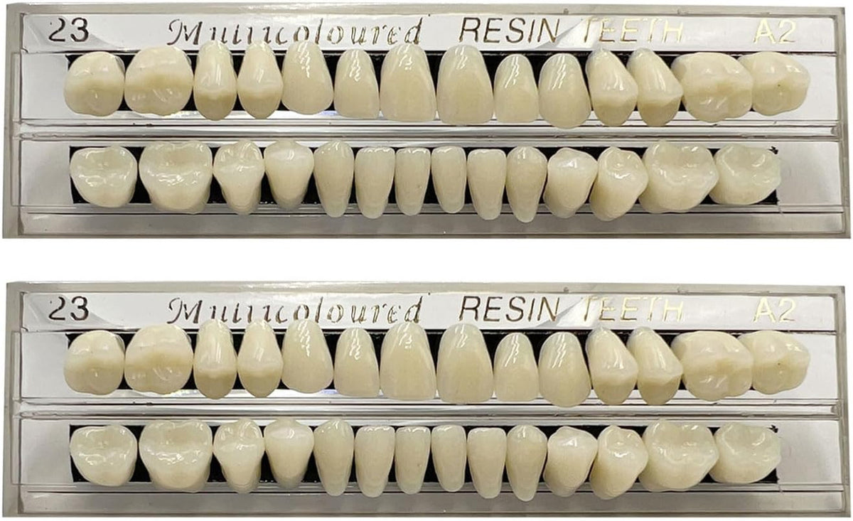 False Teeth Dental Set 56 Pieces Synthetic Resin Upper and Lower Dentures