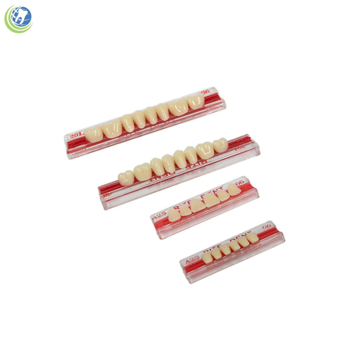 Professional Denture Creation Kit - Complete False Teeth Set for Dental Prosthetics