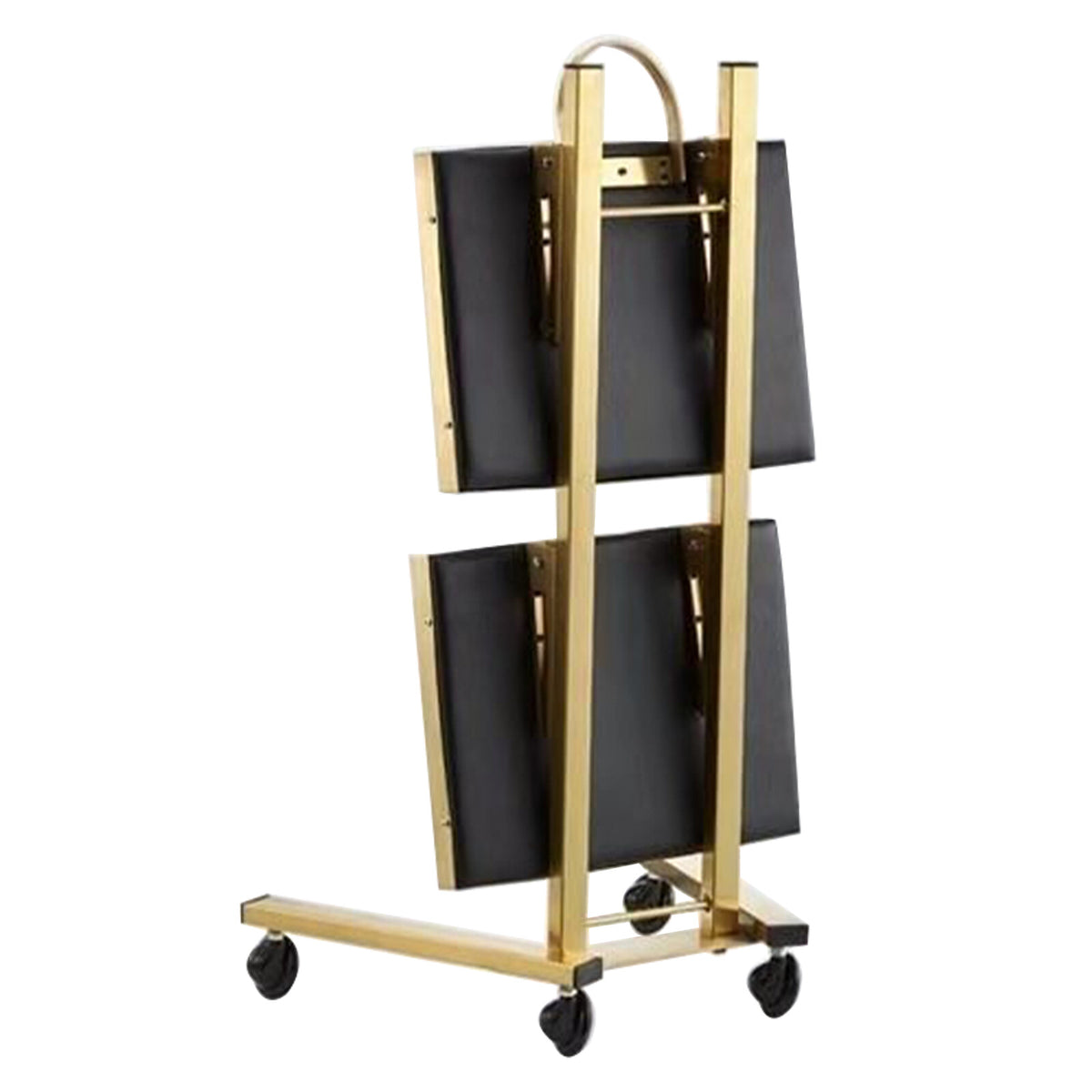 2-Tier Salon Trolley Cart with Wheels - Space-Saving Beauty & Spa Storage