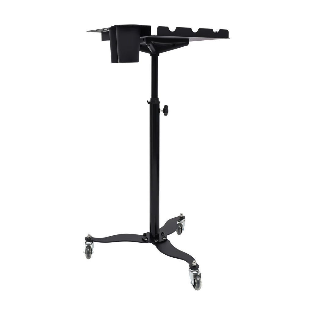 Mobile Salon Hairdressing Cart with 2 Bowls & Rolling Service Tray, Stainless Steel