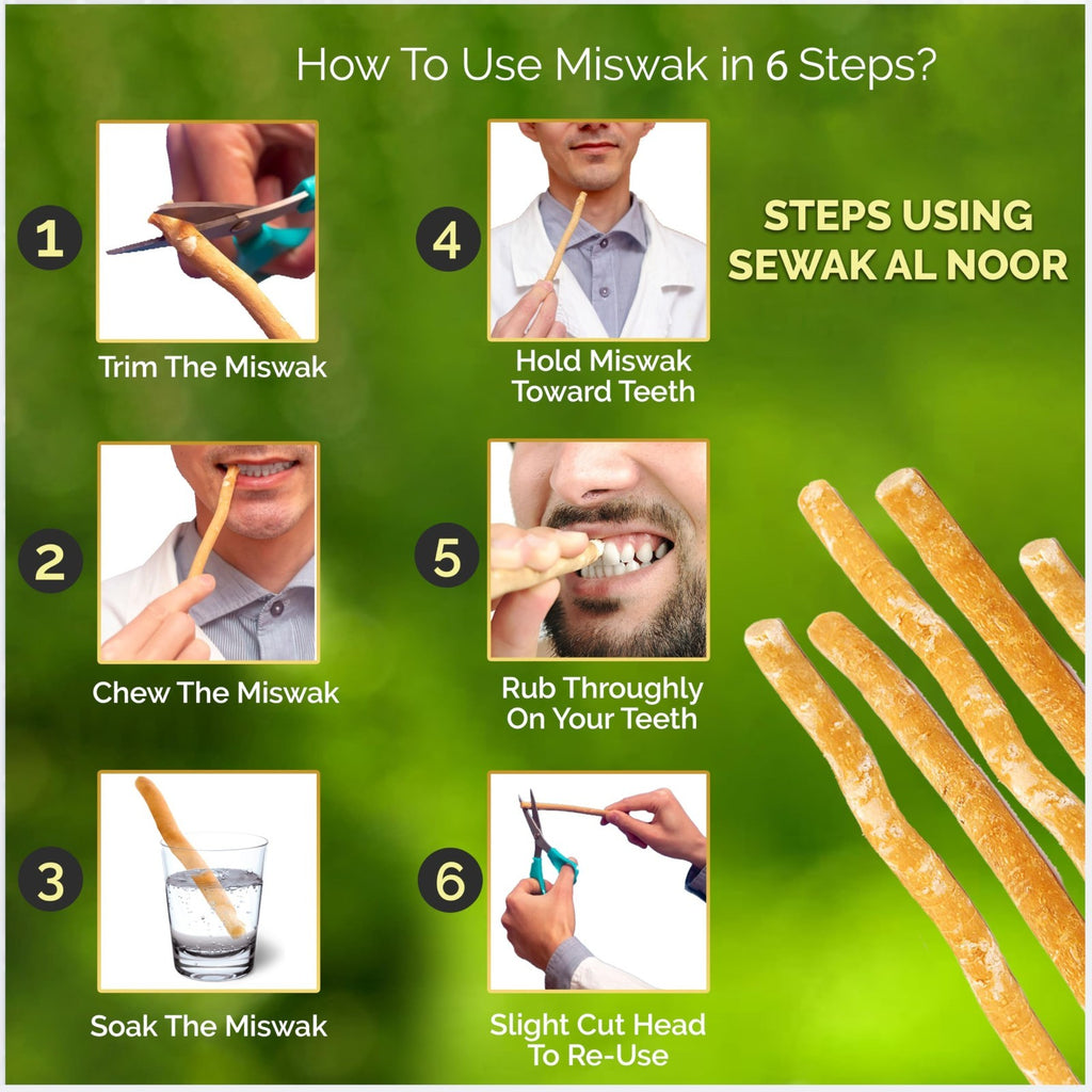 Natural Miswak Tooth Sticks with Holder - Organic Oral Care Set, Pack of 12