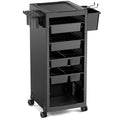 Salon Hairdressing & Barber Cart with 6 Drawers & Storage Trolley
