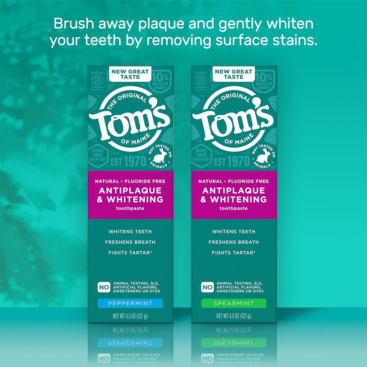 Natural Fluoride-Free Peppermint Toothpaste - Whitens & Fights Tartar, 2 Pack