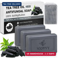 Antifungal Soap with Tea Tree Oil, Charcoal & Volcanic Ash - 3 Bars