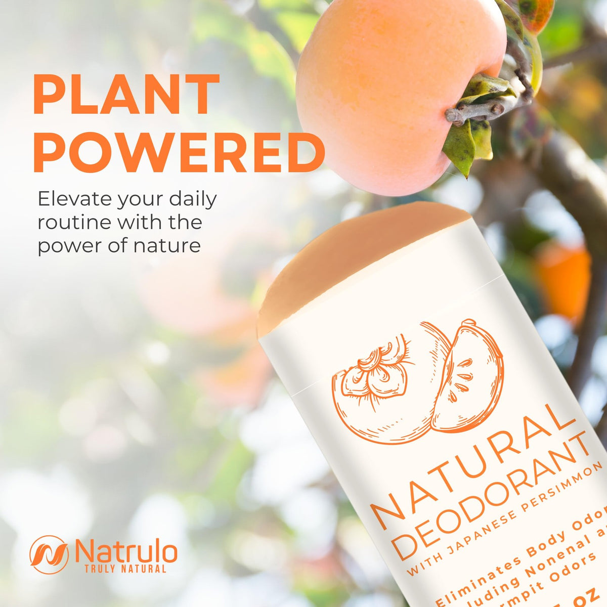 All-Natural Persimmon Deodorant for Whole Body - Aluminum-Free, Cruelty-Free