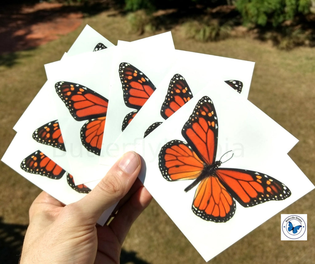 Large Monarch Temporary Tattoos - 6 Sheets for Adults & Kids