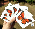 Large Monarch Temporary Tattoos - 6 Sheets for Adults & Kids