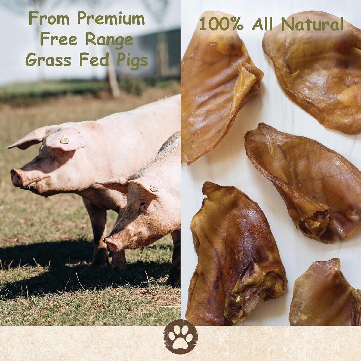 Pig Ear Dog Treats - Natural Thick Chews for Small to Large Dogs, 1LB