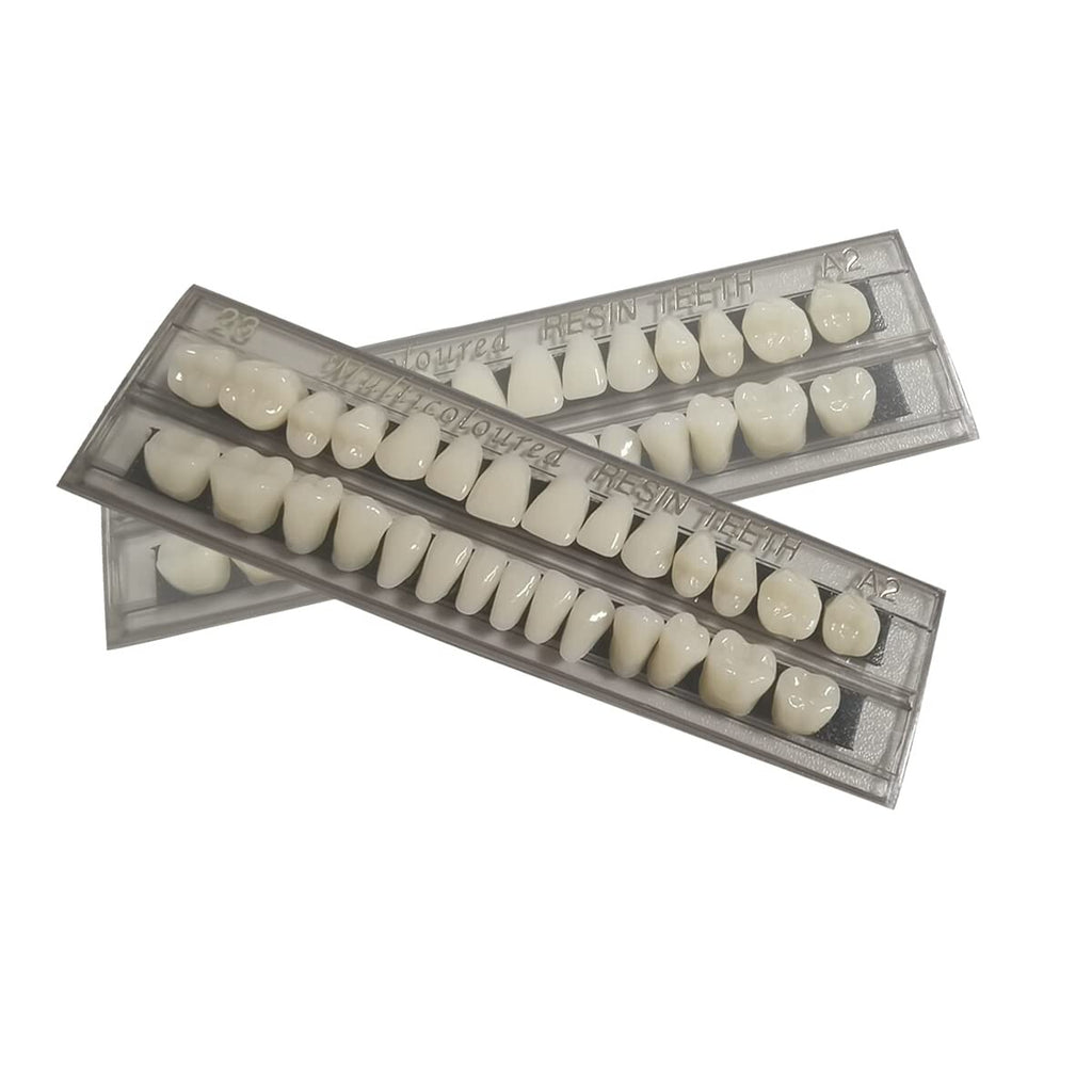 56 Pcs Acrylic Resin Dental Denture Teeth Set - Complete Upper & Lower
