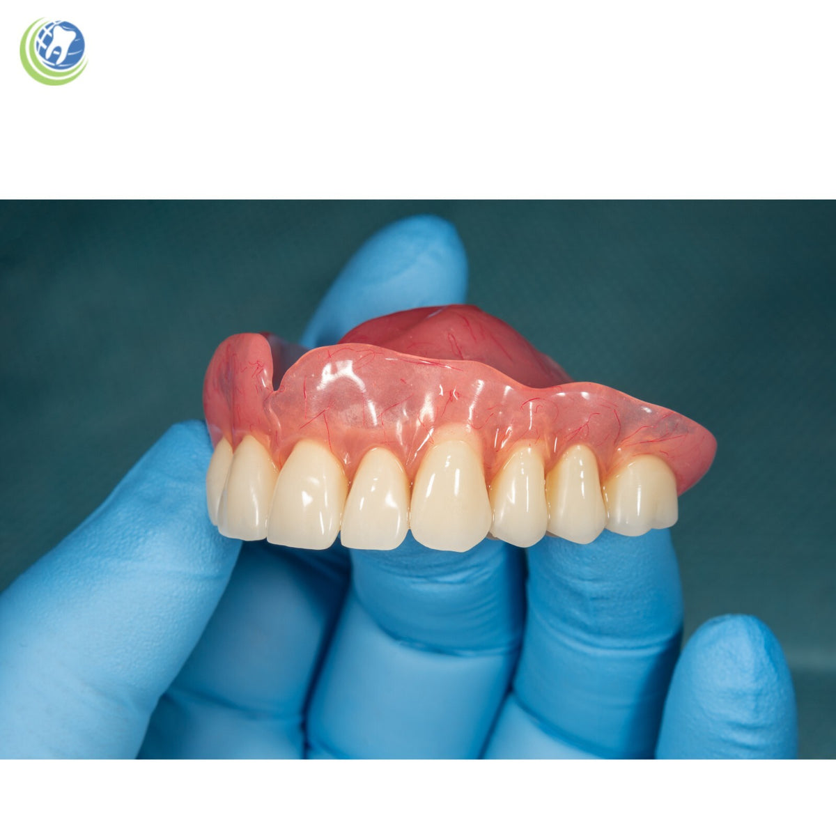 Complete Professional Denture Set - False Teeth and Prosthetics Kit
