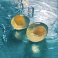 Collagen Whitening Egg Soap - Handmade Moisturizing Natural Skincare 80g