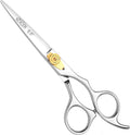 Professional Hair Cutting Scissors - 6.5 Inch Hairdressing Shears, Silver