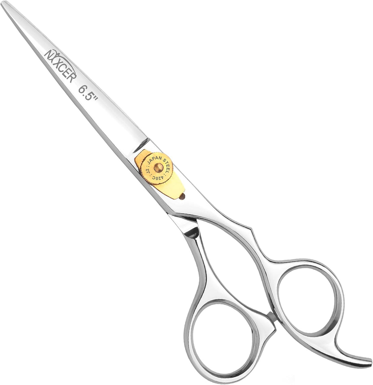 Professional Hair Cutting Scissors - 6.5 Inch Hairdressing Shears, Silver