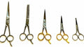 5-Piece Professional Hairdressing Thinning Scissors Set - Stainless Steel Grooming Shears