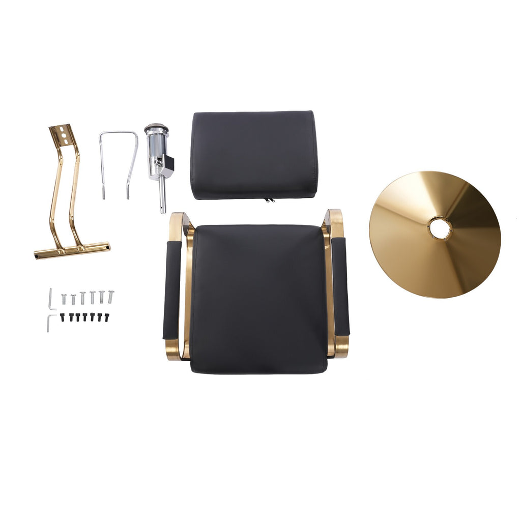 Hydraulic Barber Chair Adjustable Salon & Spa Salon Chair for Hair Styling