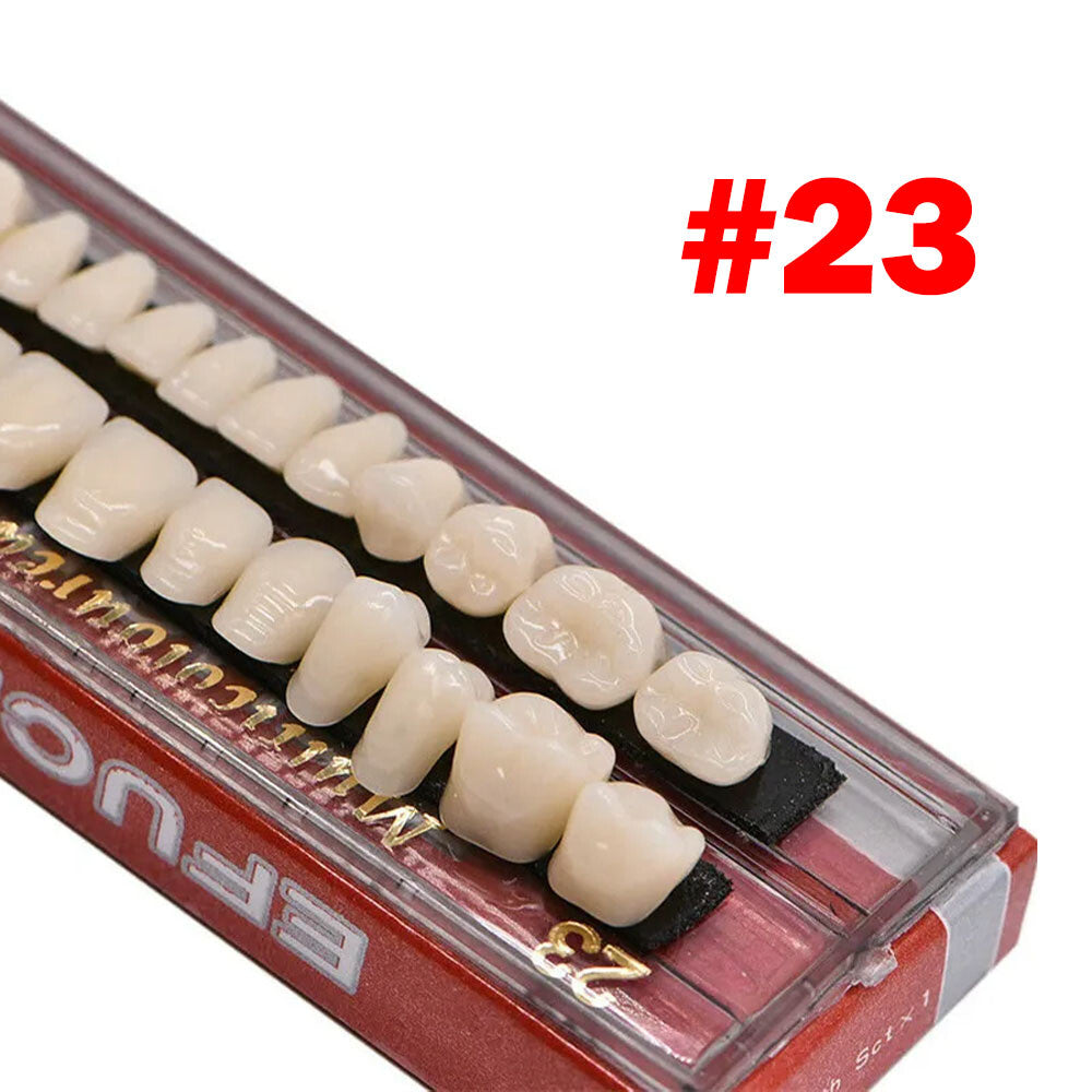 Dental Acrylic Resin Denture Set for Upper and Lower Teeth - Multiple Shades