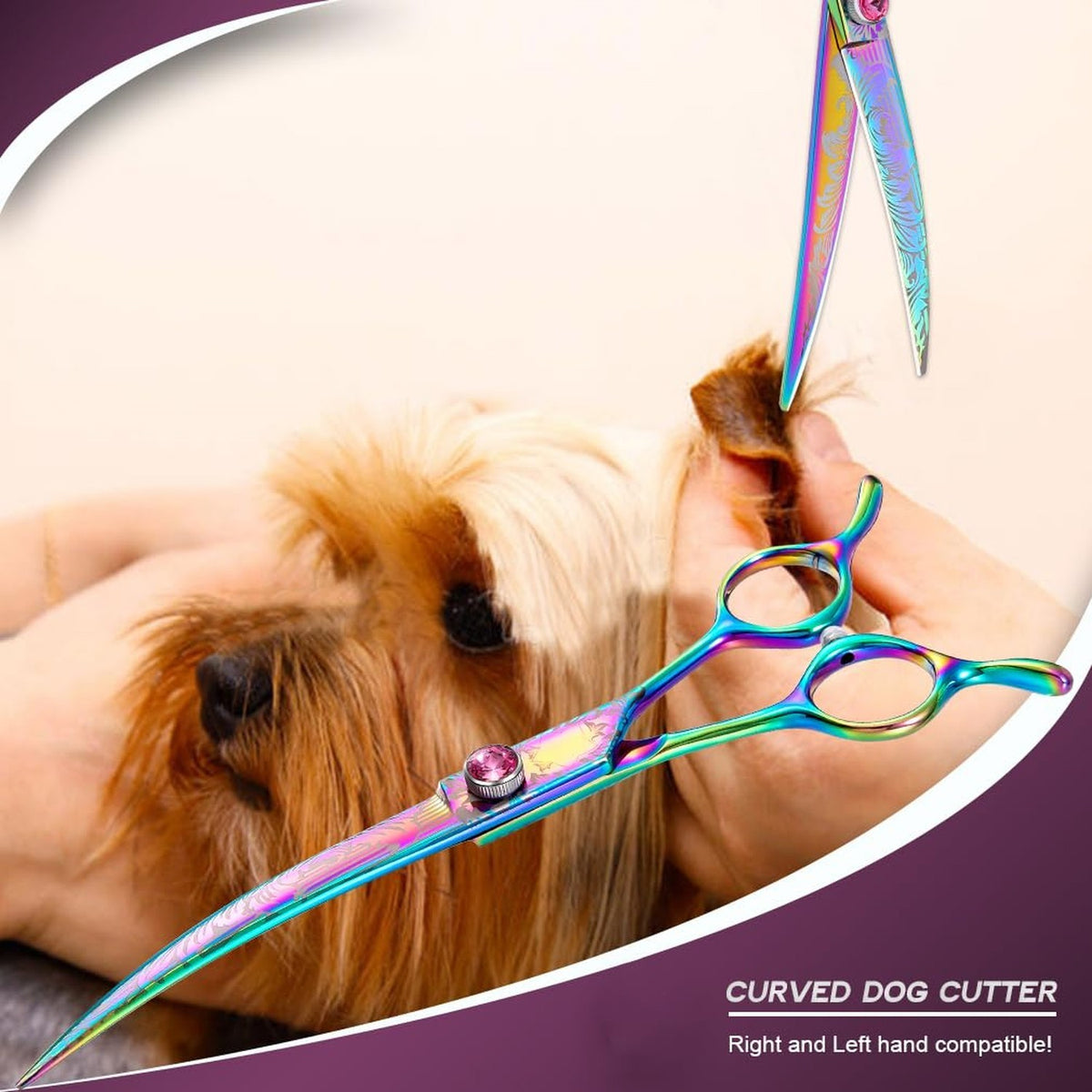7-Inch Downward Curved Dog Grooming Scissors for Face and Paws - Rainbow Stainless Steel