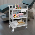 Grey 3-Tier Salon Cart with Wheels - ABS Rolling Tool Organizer