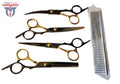 5 Piece Hair Cutting and Thinning Scissors Set for Salon Barber Styling