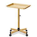 Salon Rolling Tray Cart with Wheels - Adjustable Gold Tattoo & Beauty Station
